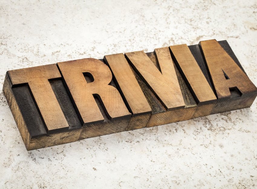 Show off your knowledge with this word-related trivia