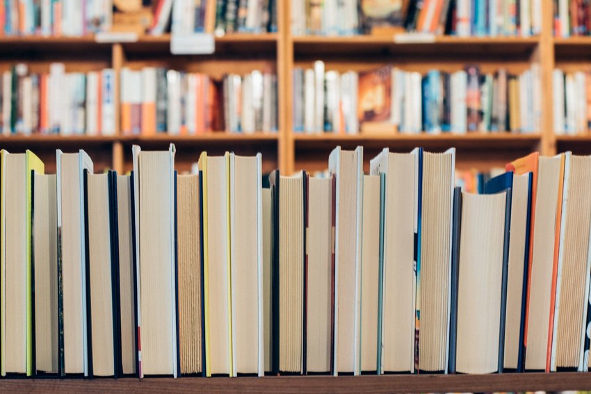 5 Books To Read If You Love Grammar