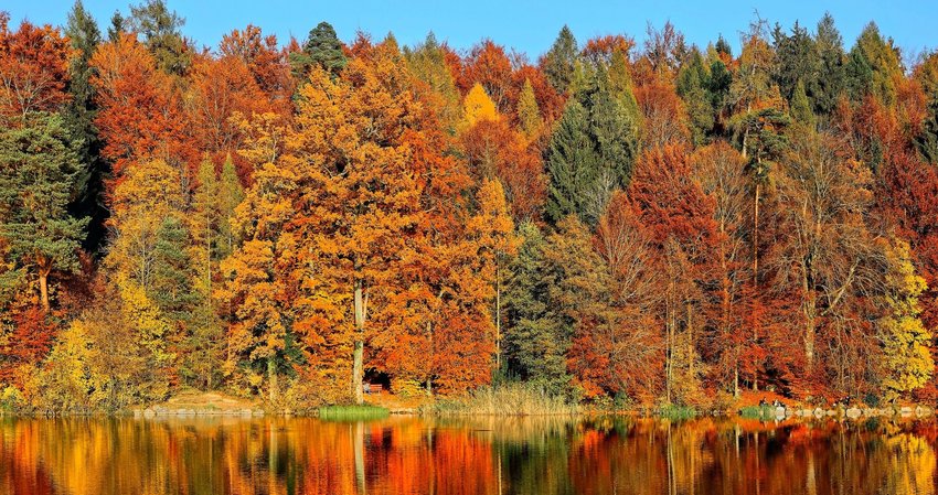 6 Reasons To Get Excited for Fall