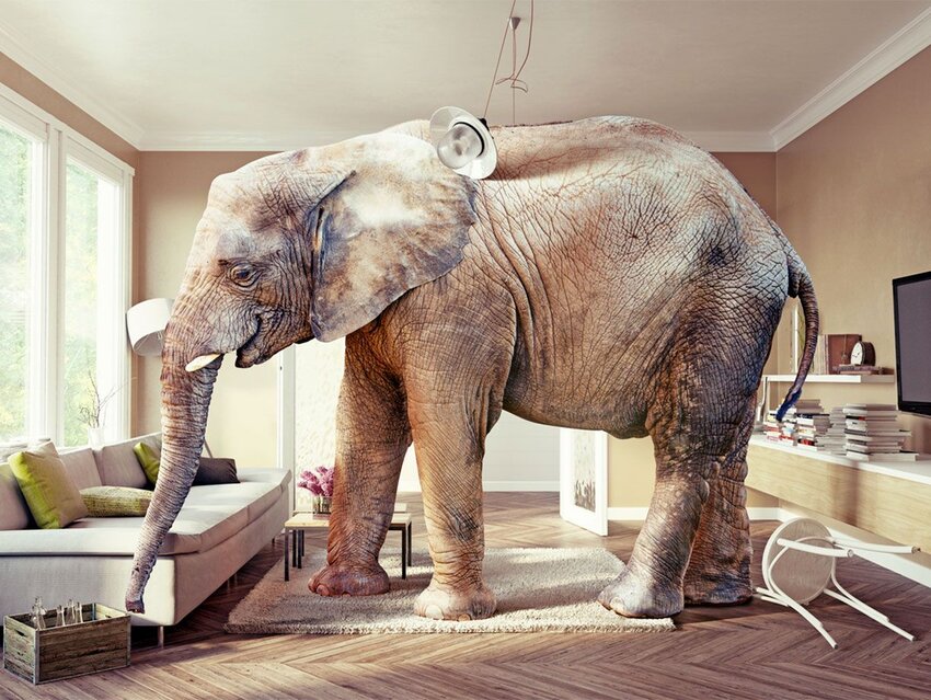 What’s the Difference Between Similes and Metaphors?