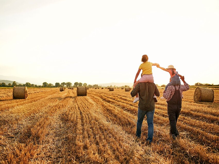 Learn a Little of Old MacDonald’s Vocabulary