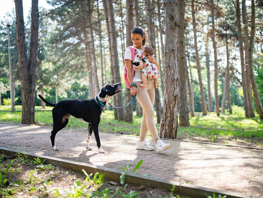 Beyond Past, Present, and Future: Understanding Verb Tenses