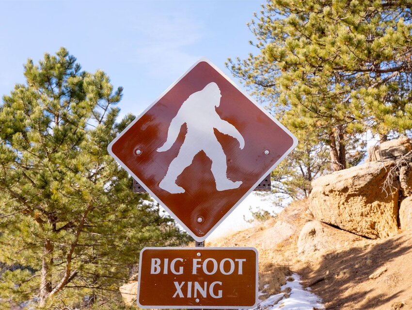 Learn 7 New Terms for Obscure Fields of Study