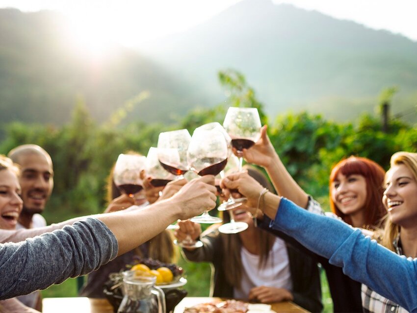 Wine Terminology To Make You Sound Like a Sommelier