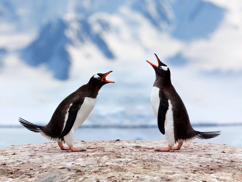 Do You Remember These April Words of the Day?