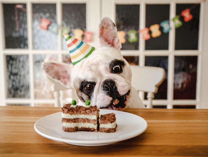 ‘Ace’ to ‘French Kiss’ — These Words Are 100 Years Old