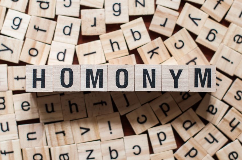 Which One? 14 Homonyms With Multiple Meanings